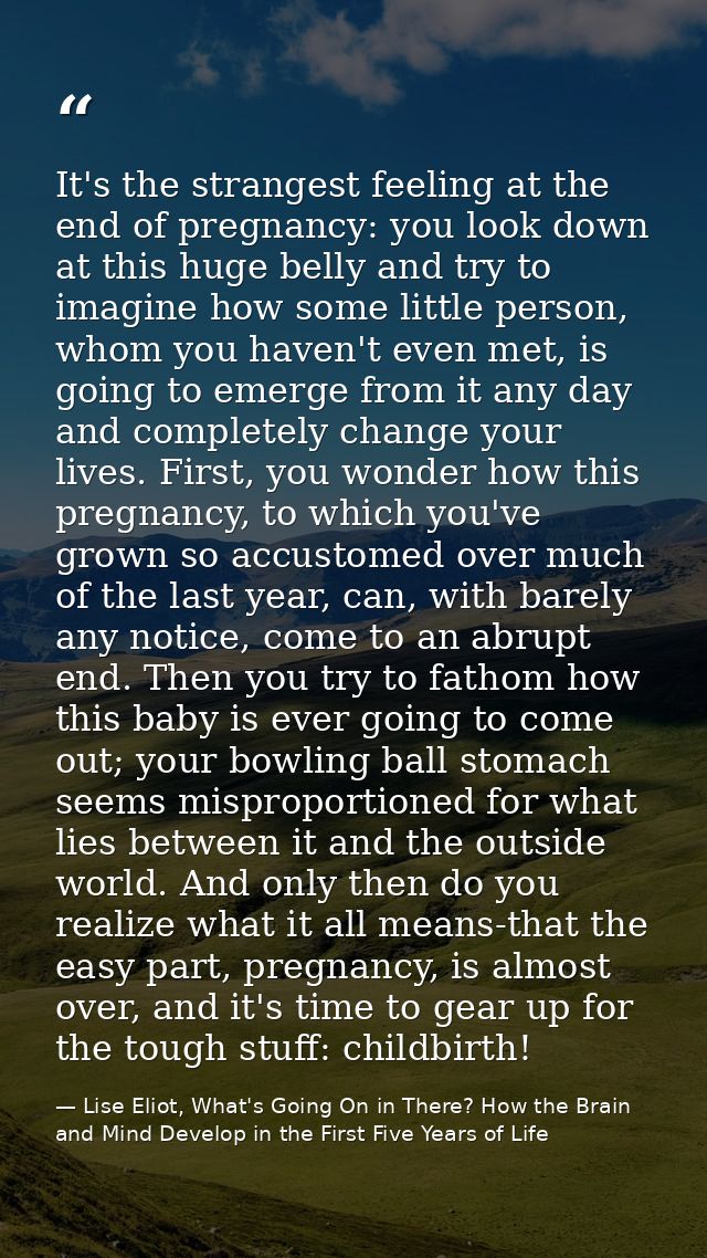 It's the strangest feeling at the end of pregnancy: you look down at this huge belly and try to imagine how some little  — Lise Eliot, What's Going On in There? How the Brain and Mind Develop in the First Five Years of Life