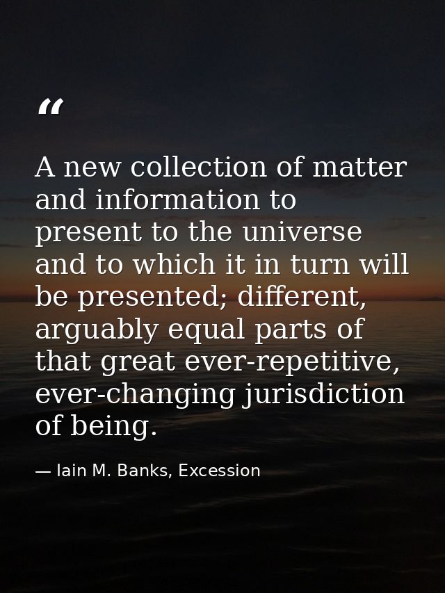 A new collection of matter and information to present to the universe and to which it in turn will be presented; differe — Iain M. Banks, Excession