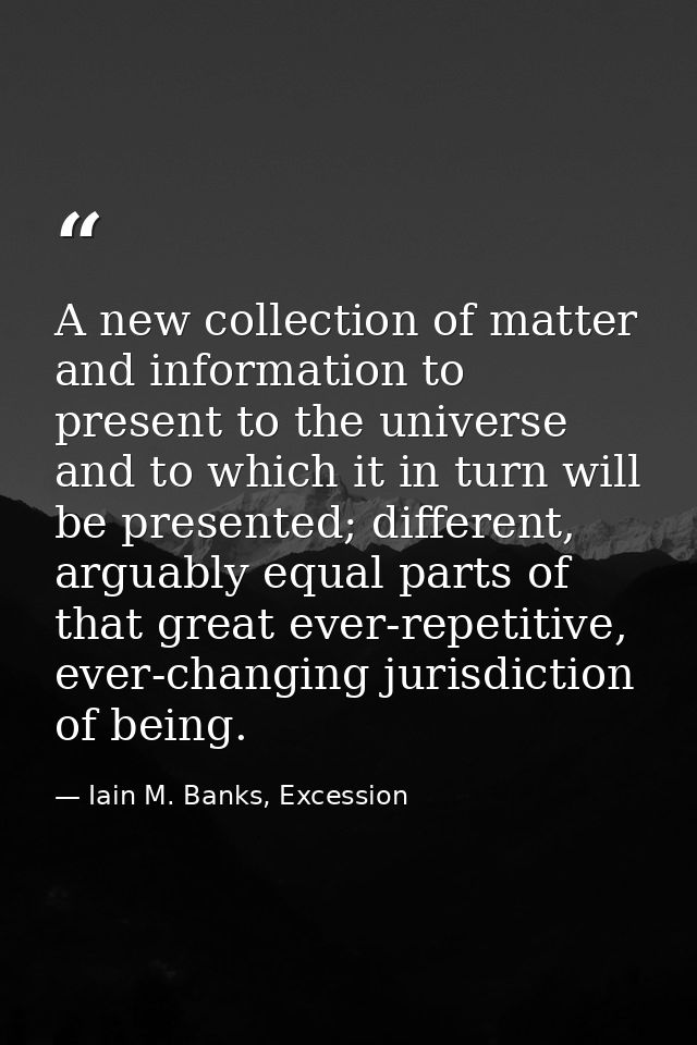 A new collection of matter and information to present to the universe and to which it in turn will be presented; differe — Iain M. Banks, Excession
