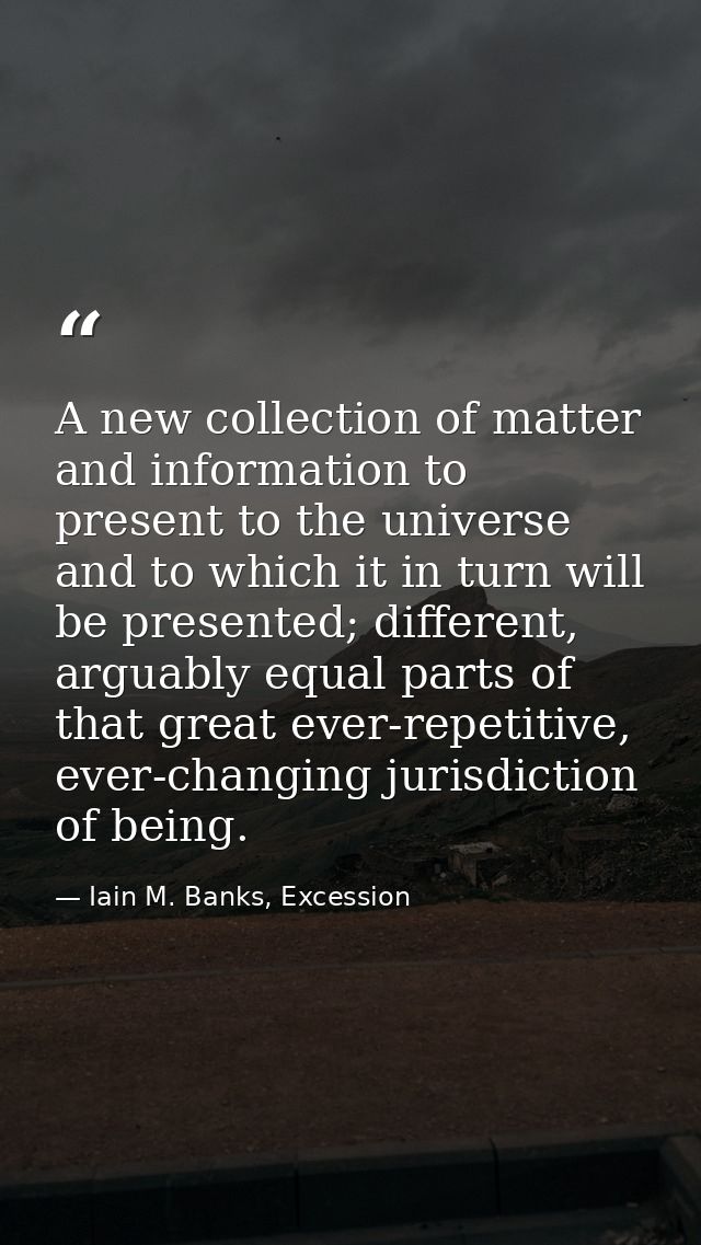 A new collection of matter and information to present to the universe and to which it in turn will be presented; differe — Iain M. Banks, Excession