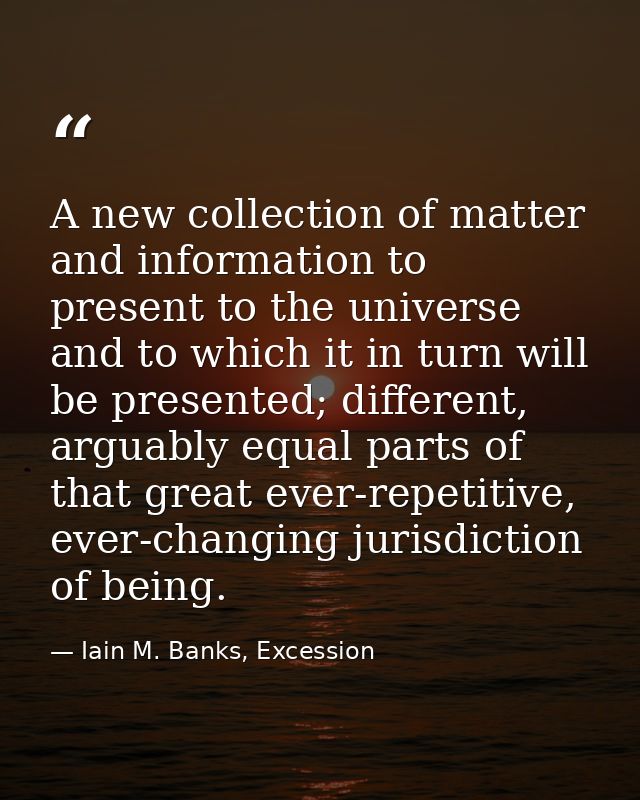 A new collection of matter and information to present to the universe and to which it in turn will be presented; differe — Iain M. Banks, Excession
