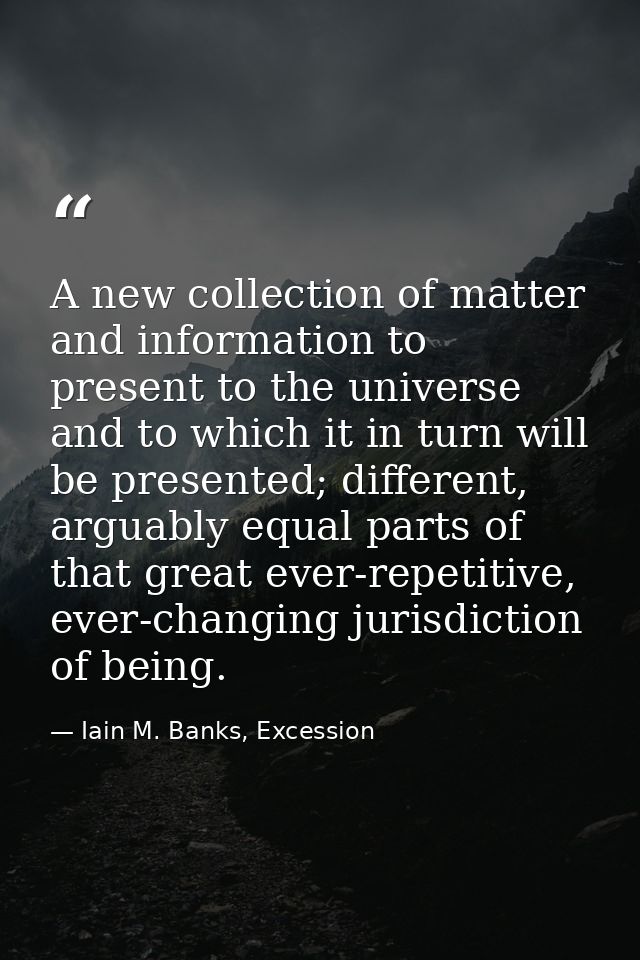 A new collection of matter and information to present to the universe and to which it in turn will be presented; differe — Iain M. Banks, Excession