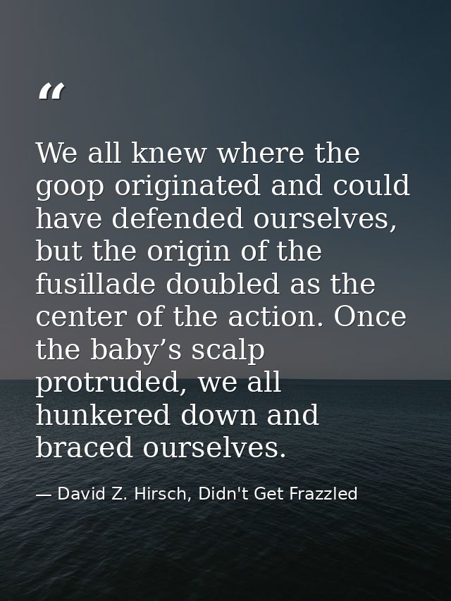 We all knew where the goop originated and could have defended ourselves, but the origin of the fusillade doubled as the  — David Z. Hirsch, Didn't Get Frazzled