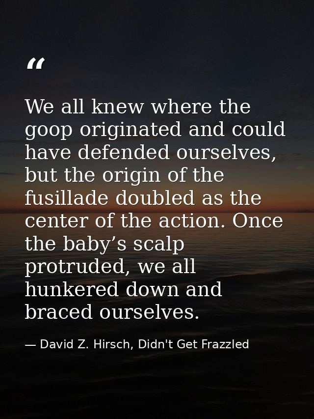 We all knew where the goop originated and could have defended ourselves, but the origin of the fusillade doubled as the  — David Z. Hirsch, Didn't Get Frazzled