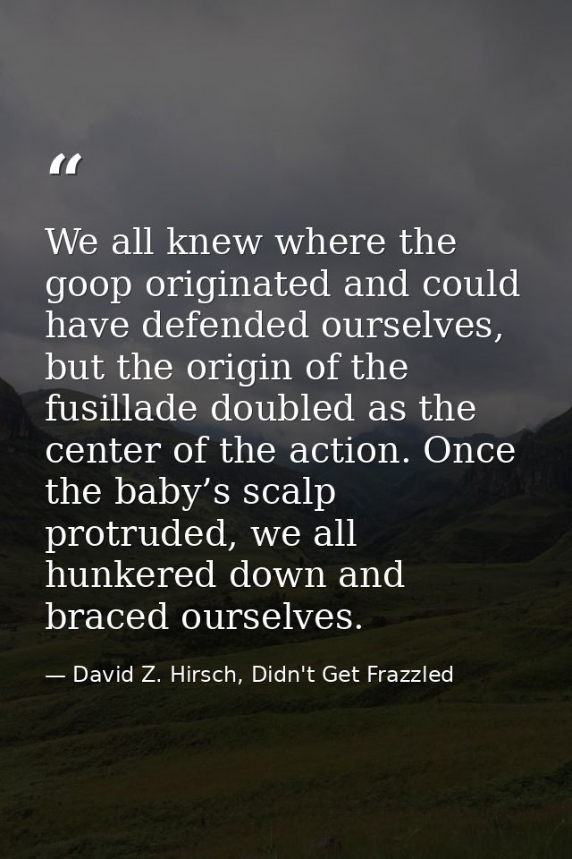 We all knew where the goop originated and could have defended ourselves, but the origin of the fusillade doubled as the  — David Z. Hirsch, Didn't Get Frazzled