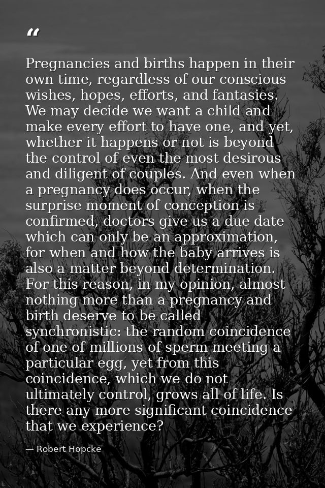 Pregnancies and births happen in their own time, regardless of our conscious wishes, hopes, efforts, and fantasies. We m — Robert Hopcke