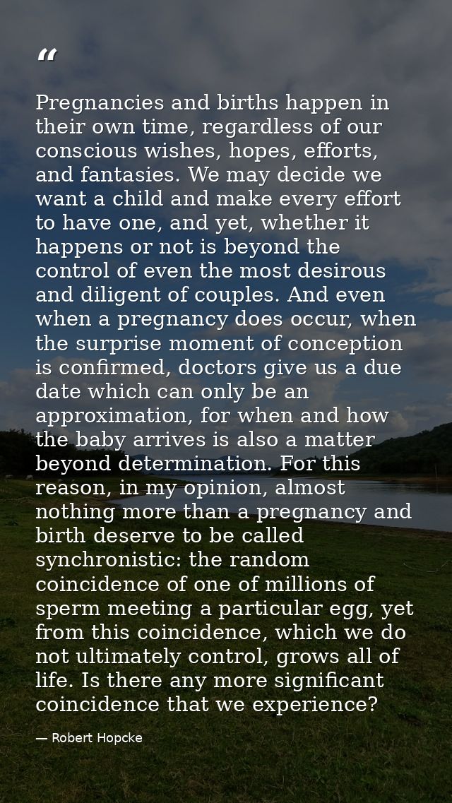 Pregnancies and births happen in their own time, regardless of our conscious wishes, hopes, efforts, and fantasies. We m — Robert Hopcke