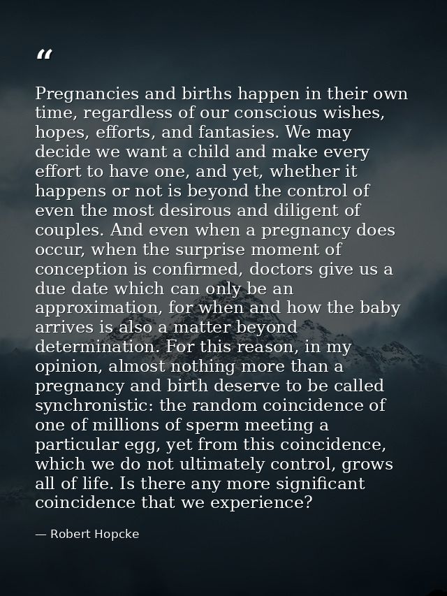 Pregnancies and births happen in their own time, regardless of our conscious wishes, hopes, efforts, and fantasies. We m — Robert Hopcke