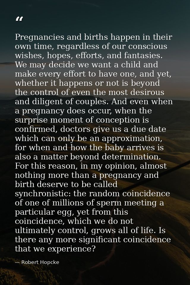 Pregnancies and births happen in their own time, regardless of our conscious wishes, hopes, efforts, and fantasies. We m — Robert Hopcke