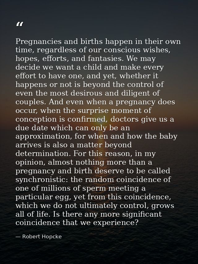 Pregnancies and births happen in their own time, regardless of our conscious wishes, hopes, efforts, and fantasies. We m — Robert Hopcke