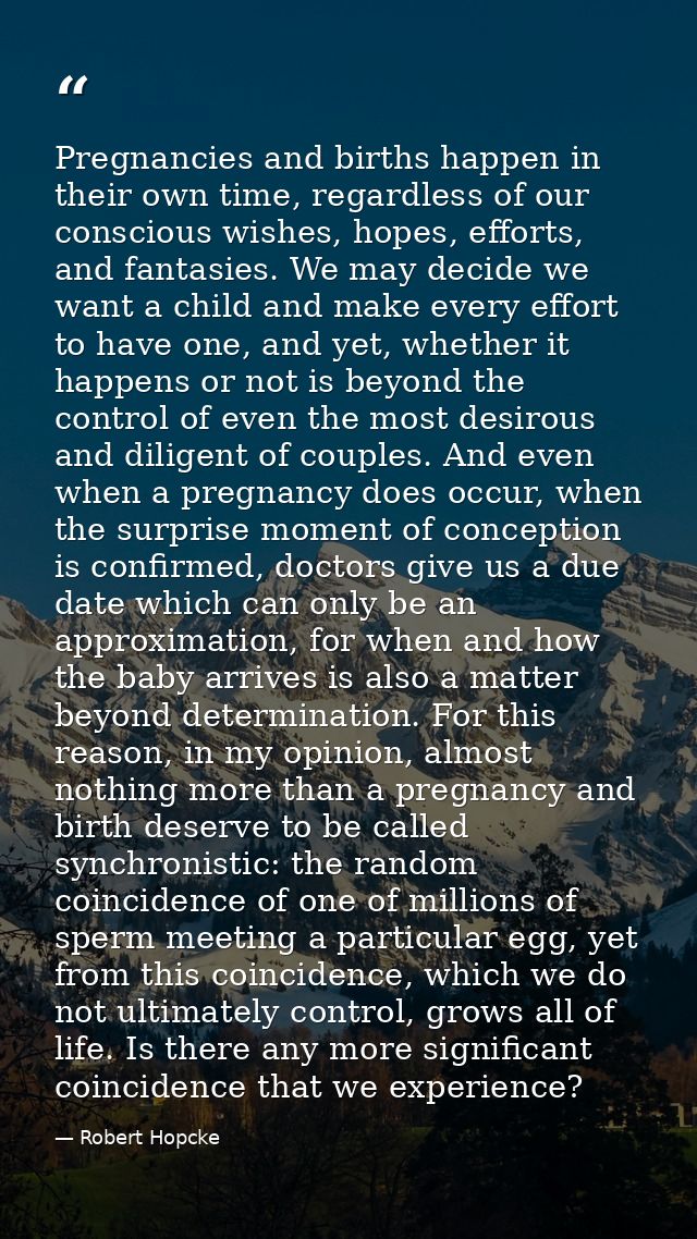 Pregnancies and births happen in their own time, regardless of our conscious wishes, hopes, efforts, and fantasies. We m — Robert Hopcke