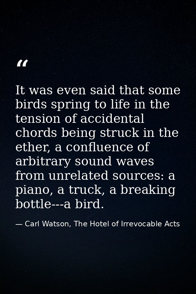 It was even said that some birds spring to life in the tension of accidental chords being struck in the ether, a conflue — Carl Watson, The Hotel of Irrevocable Acts