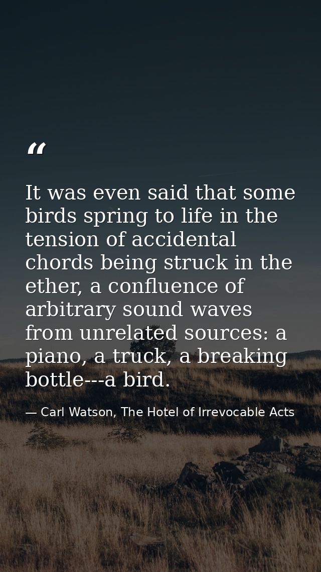 It was even said that some birds spring to life in the tension of accidental chords being struck in the ether, a conflue — Carl Watson, The Hotel of Irrevocable Acts