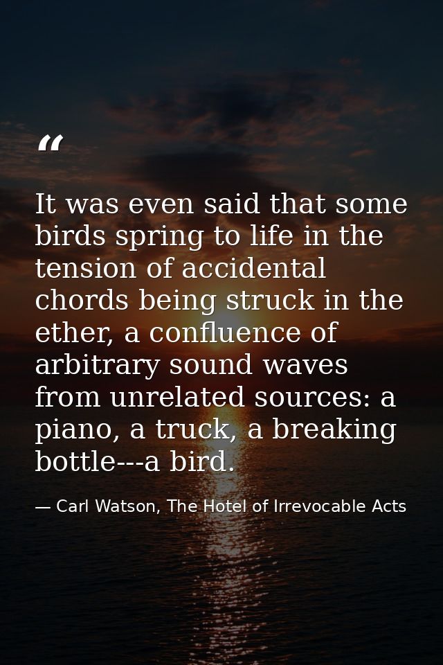 It was even said that some birds spring to life in the tension of accidental chords being struck in the ether, a conflue — Carl Watson, The Hotel of Irrevocable Acts