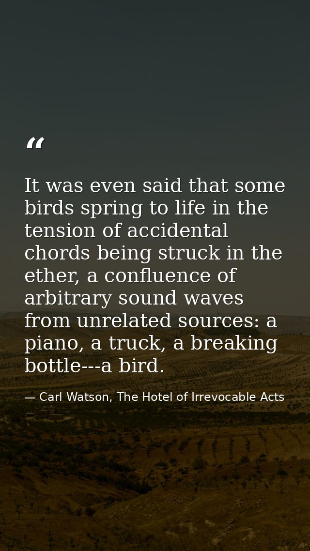 It was even said that some birds spring to life in the tension of accidental chords being struck in the ether, a conflue — Carl Watson, The Hotel of Irrevocable Acts
