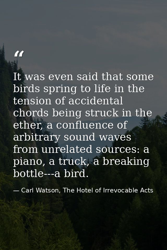 It was even said that some birds spring to life in the tension of accidental chords being struck in the ether, a conflue — Carl Watson, The Hotel of Irrevocable Acts