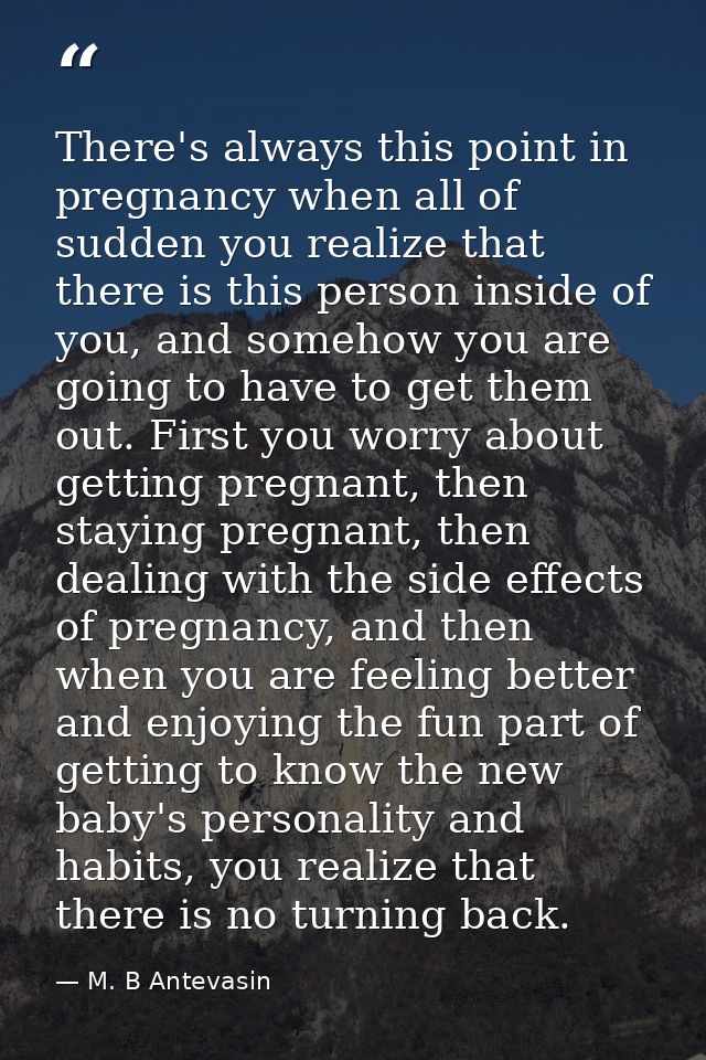 There's always this point in pregnancy when all of sudden you realize that there is this person inside of you, and someh — M. B Antevasin
