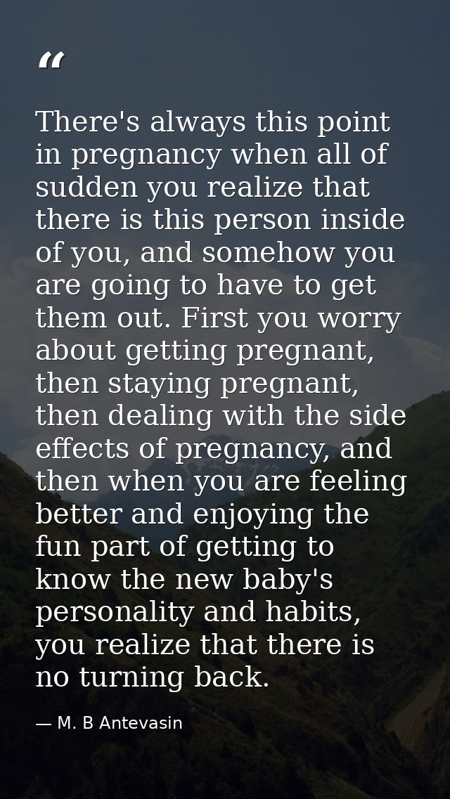 There's always this point in pregnancy when all of sudden you realize that there is this person inside of you, and someh — M. B Antevasin