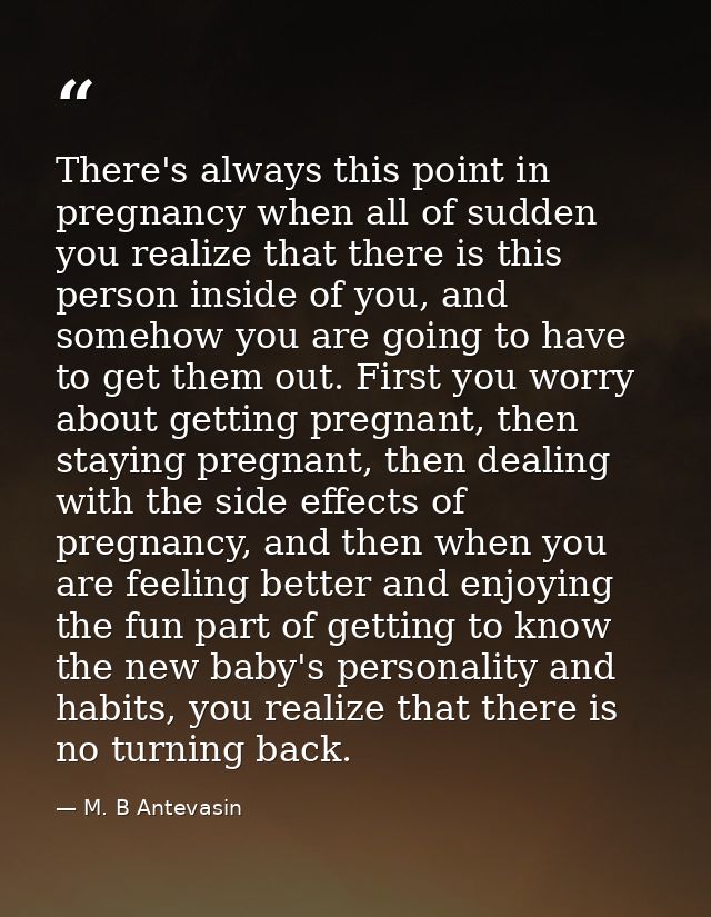 There's always this point in pregnancy when all of sudden you realize that there is this person inside of you, and someh — M. B Antevasin