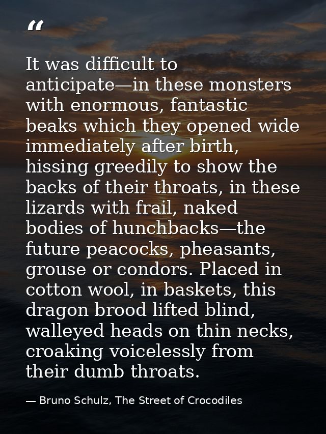 It was difficult to anticipate—in these monsters with enormous, fantastic beaks which they opened wide immediately after — Bruno Schulz, The Street of Crocodiles