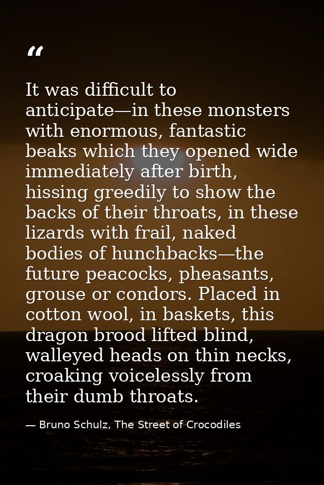 It was difficult to anticipate—in these monsters with enormous, fantastic beaks which they opened wide immediately after — Bruno Schulz, The Street of Crocodiles