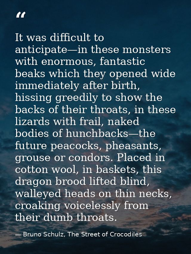It was difficult to anticipate—in these monsters with enormous, fantastic beaks which they opened wide immediately after — Bruno Schulz, The Street of Crocodiles