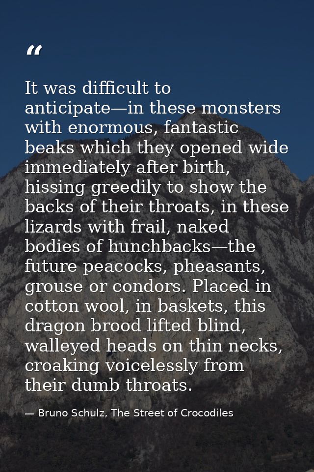 It was difficult to anticipate—in these monsters with enormous, fantastic beaks which they opened wide immediately after — Bruno Schulz, The Street of Crocodiles