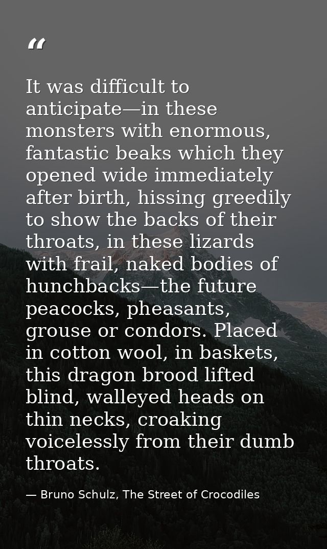 It was difficult to anticipate—in these monsters with enormous, fantastic beaks which they opened wide immediately after — Bruno Schulz, The Street of Crocodiles