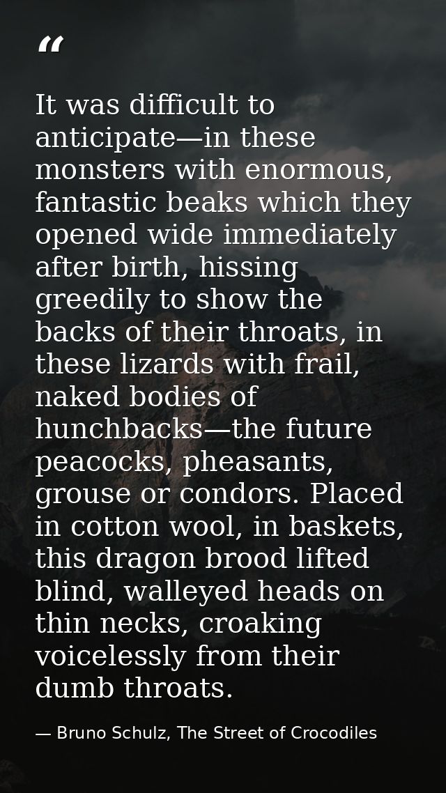 It was difficult to anticipate—in these monsters with enormous, fantastic beaks which they opened wide immediately after — Bruno Schulz, The Street of Crocodiles