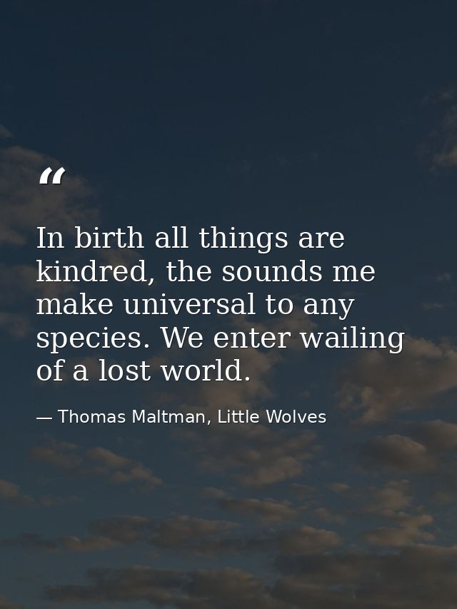In birth all things are kindred, the sounds me make universal to any species. We enter wailing of a lost world. — Thomas Maltman, Little Wolves