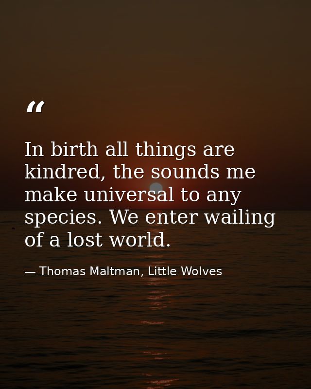 In birth all things are kindred, the sounds me make universal to any species. We enter wailing of a lost world. — Thomas Maltman, Little Wolves