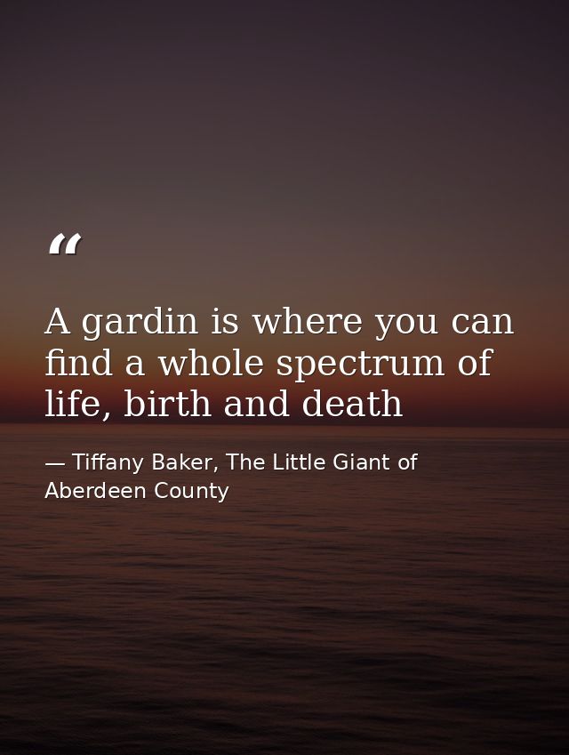 A gardin is where you can find a whole spectrum of life, birth and death — Tiffany Baker, The Little Giant of Aberdeen County