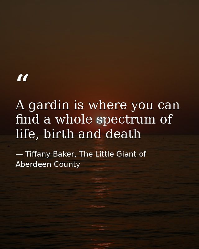 A gardin is where you can find a whole spectrum of life, birth and death — Tiffany Baker, The Little Giant of Aberdeen County