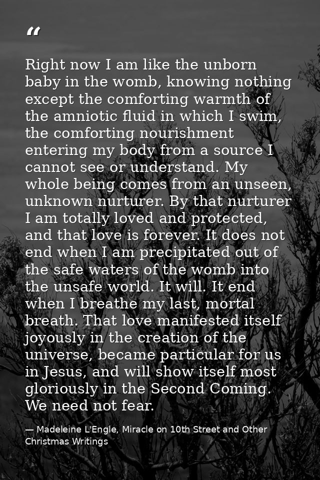 Right now I am like the unborn baby in the womb, knowing nothing except the comforting warmth of the amniotic fluid in w — Madeleine L'Engle, Miracle on 10th Street and Other Christmas Writings
