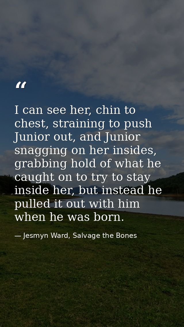 I can see her, chin to chest, straining to push Junior out, and Junior snagging on her insides, grabbing hold of what he — Jesmyn Ward, Salvage the Bones