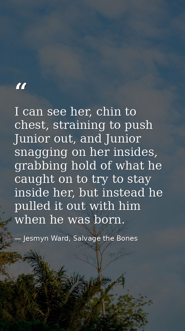 I can see her, chin to chest, straining to push Junior out, and Junior snagging on her insides, grabbing hold of what he — Jesmyn Ward, Salvage the Bones