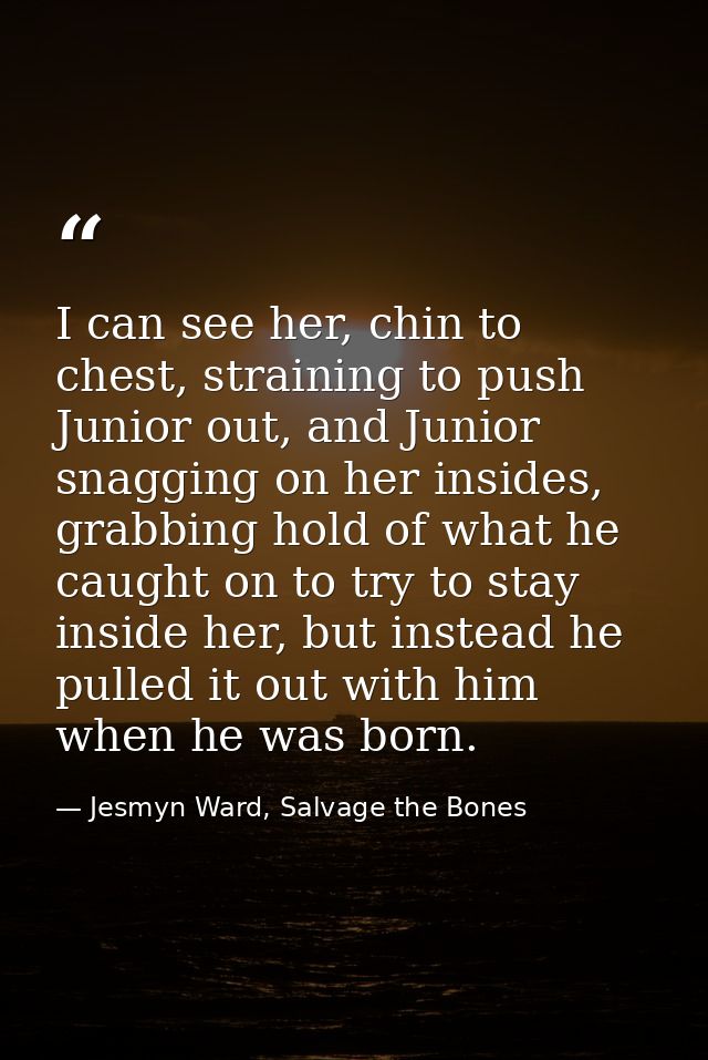 I can see her, chin to chest, straining to push Junior out, and Junior snagging on her insides, grabbing hold of what he — Jesmyn Ward, Salvage the Bones