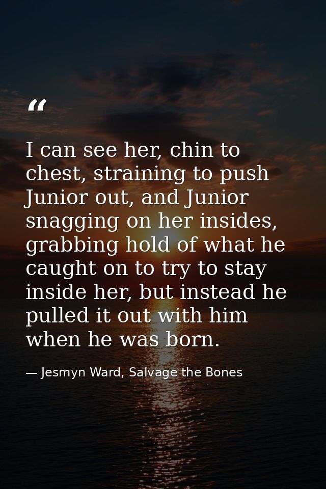I can see her, chin to chest, straining to push Junior out, and Junior snagging on her insides, grabbing hold of what he — Jesmyn Ward, Salvage the Bones