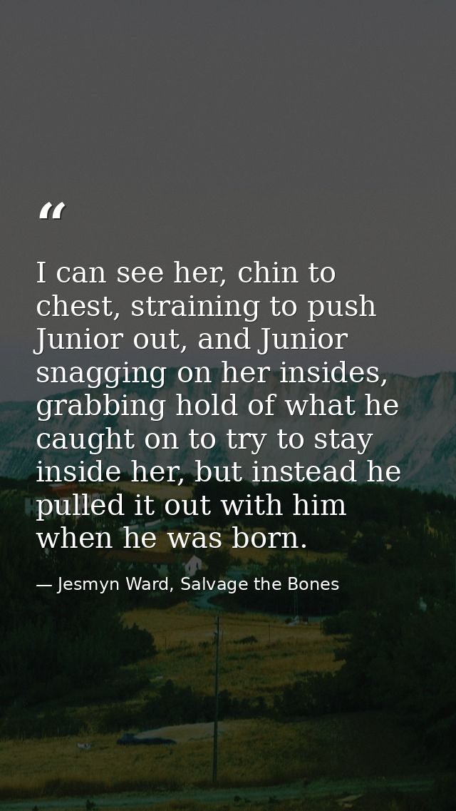 I can see her, chin to chest, straining to push Junior out, and Junior snagging on her insides, grabbing hold of what he — Jesmyn Ward, Salvage the Bones