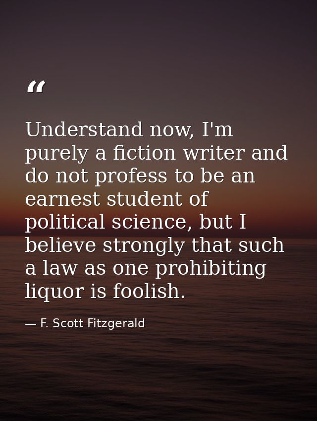 Understand now, I'm purely a fiction writer and do not profess to be an earnest student of political science, but I beli — F. Scott Fitzgerald