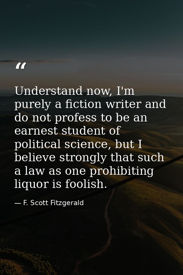 Understand now, I'm purely a fiction writer and do not profess to be an earnest student of political science, but I beli — F. Scott Fitzgerald