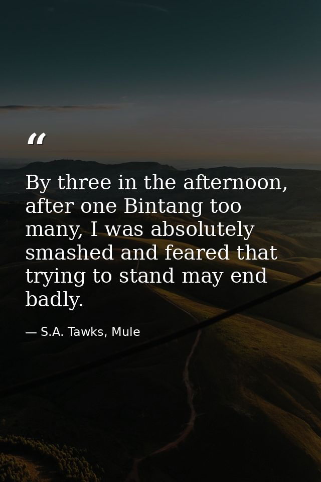 By three in the afternoon, after one Bintang too many, I was absolutely smashed and feared that trying to stand may end  — S.A. Tawks, Mule