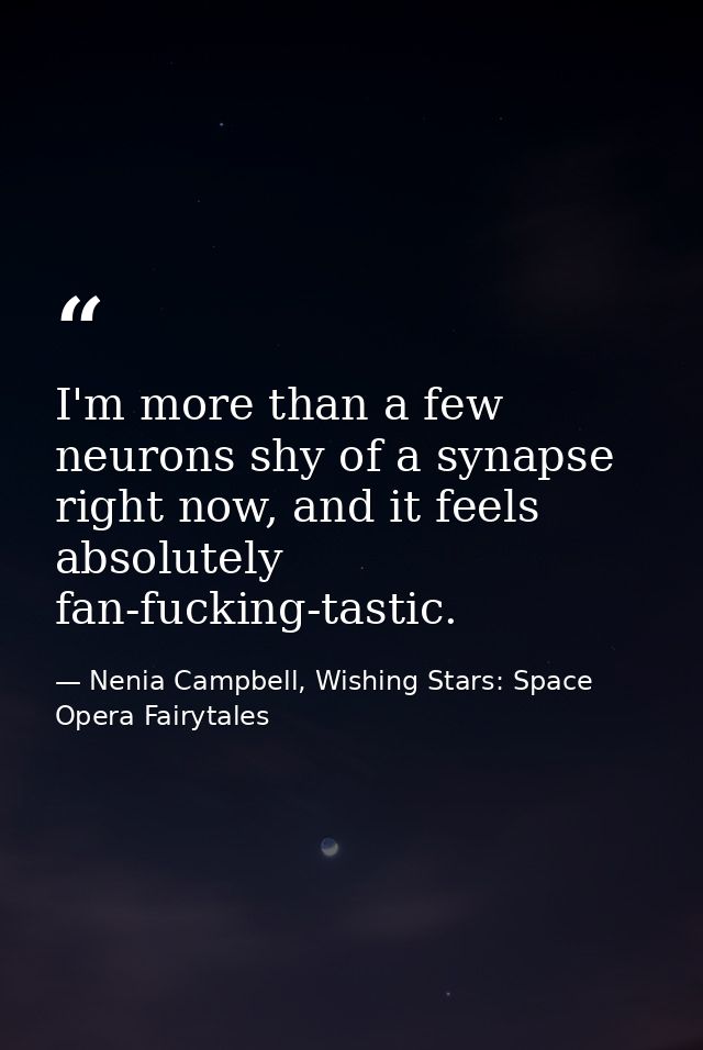I'm more than a few neurons shy of a synapse right now, and it feels absolutely fan-fucking-tastic. — Nenia Campbell, Wishing Stars: Space Opera Fairytales