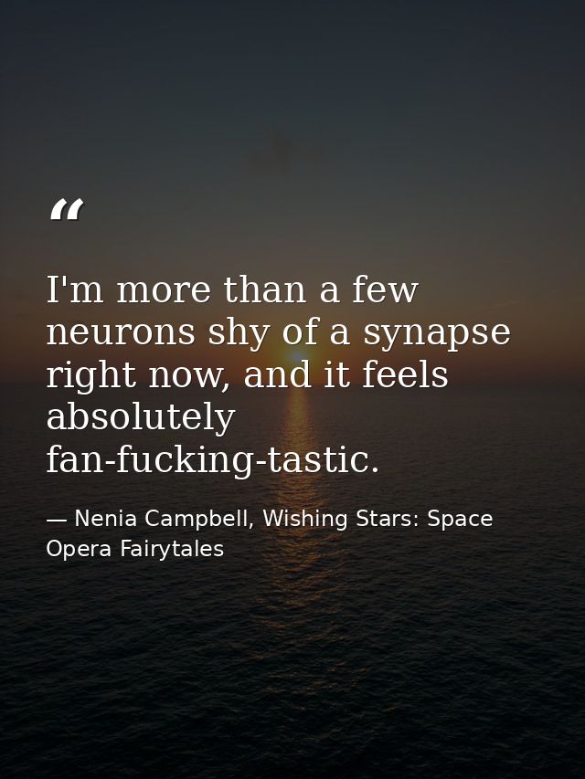I'm more than a few neurons shy of a synapse right now, and it feels absolutely fan-fucking-tastic. — Nenia Campbell, Wishing Stars: Space Opera Fairytales