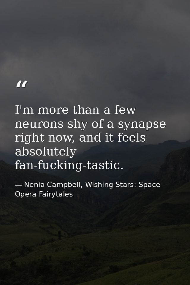 I'm more than a few neurons shy of a synapse right now, and it feels absolutely fan-fucking-tastic. — Nenia Campbell, Wishing Stars: Space Opera Fairytales