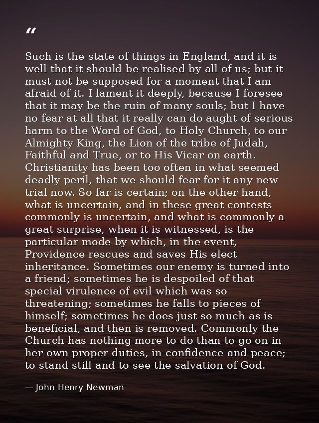 Such is the state of things in England, and it is well that it should be realised by all of us; but it must not be suppo — John Henry Newman