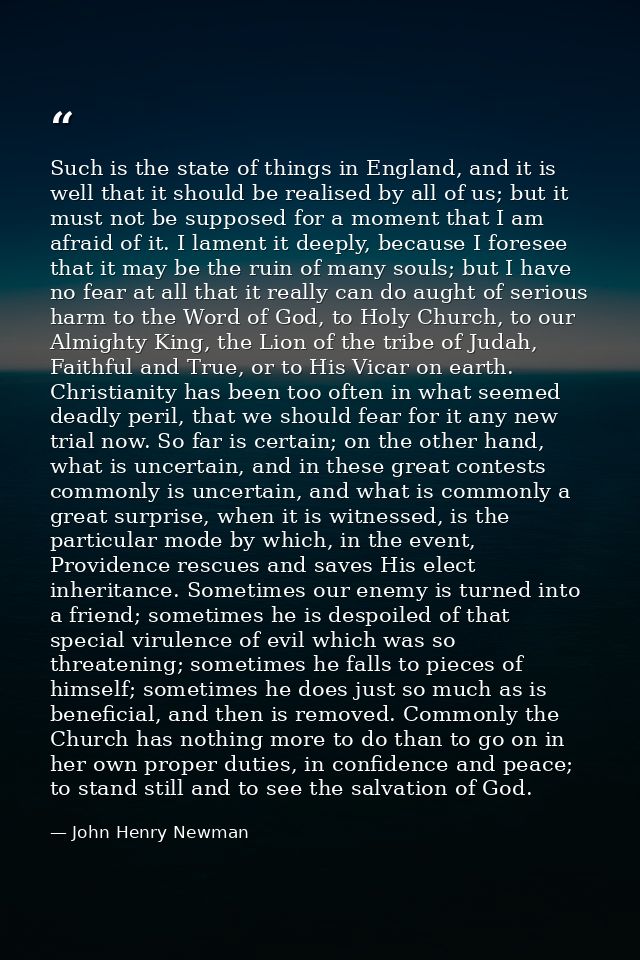 Such is the state of things in England, and it is well that it should be realised by all of us; but it must not be suppo — John Henry Newman