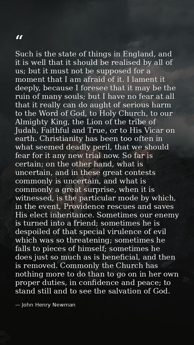 Such is the state of things in England, and it is well that it should be realised by all of us; but it must not be suppo — John Henry Newman