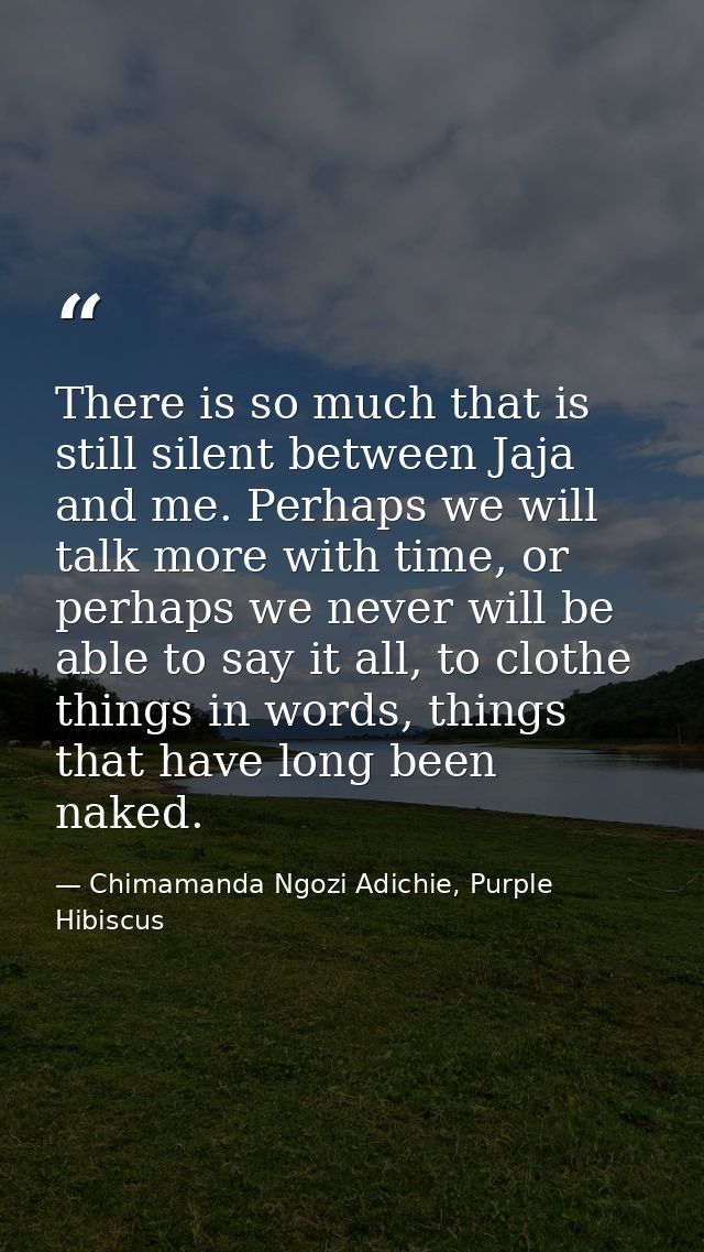 There is so much that is still silent between Jaja and me. Perhaps we will talk more with time, or perhaps we never will — Chimamanda Ngozi Adichie, Purple Hibiscus