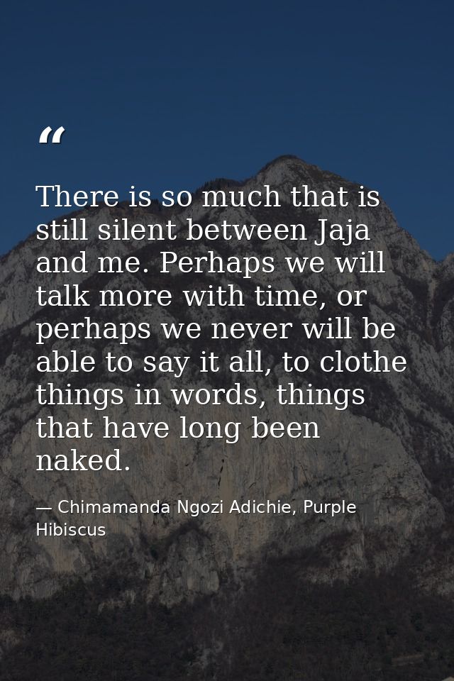 There is so much that is still silent between Jaja and me. Perhaps we will talk more with time, or perhaps we never will — Chimamanda Ngozi Adichie, Purple Hibiscus